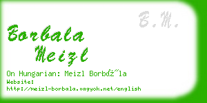 borbala meizl business card